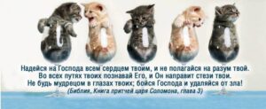 Закладка двойная на магните "Надейся на Господа..."
