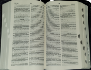 English - Russian Parallel Bible (KJV), Tan/Cherry, Compact - Англо-Русская Параллельная Библия - Авторизованная версия KJV- Синодальное издание, бежево-вишневая, компактный формат