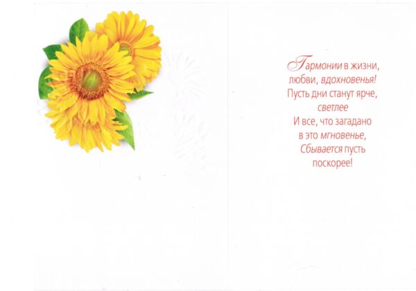 С самыми теплыми пожеланиями В день рождения!