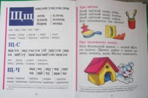 Букварь.  Большой формат. Надежда Жукова