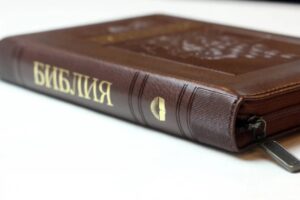 Библия 055 ZTI Коричневая, виноград, синодальный перевод