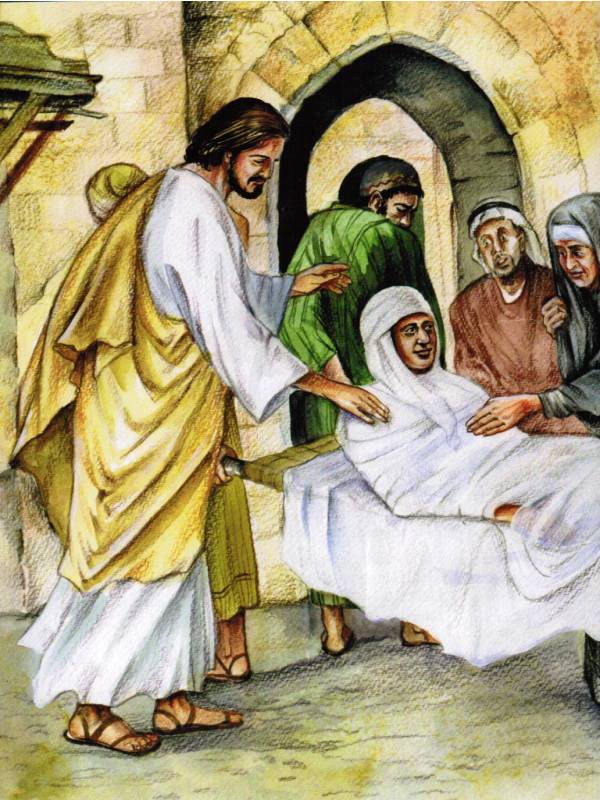Set in zwei Büchern: Entdecke die Bibel - Altes Testament and Entdecke die Bibel Neues Testament На немецком языке