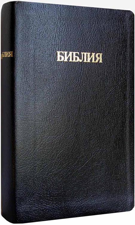 Библия Скоуфилда. Scofield Study Bible