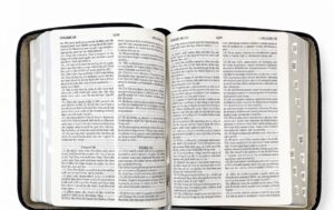 English-Russian Parallel Bible Authorized Version (KJV)- Synodal Translation. Grey, Zipper. Англо-Русская Параллельная Библия Авторизованная Версия KJV - Синодальное Издание. Серая, замок