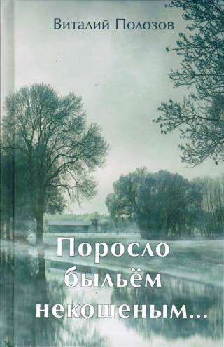 Поросло быльём некошеным...