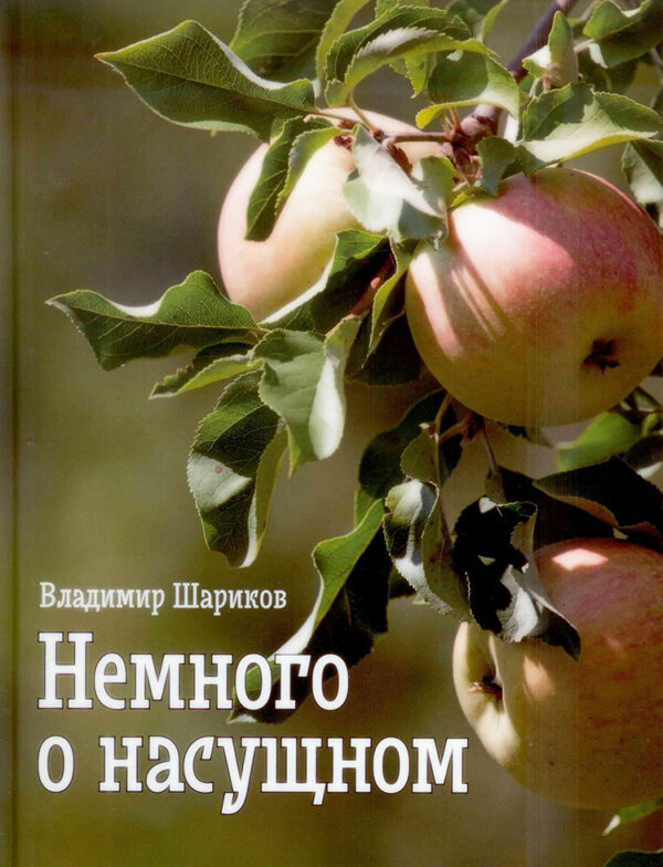 Немного о насущном.  Владимир Шариков