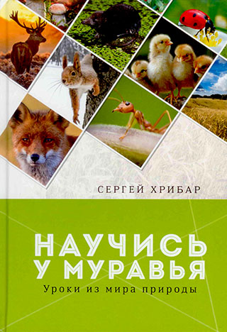 Научись у муравья. Уроки из мира природы