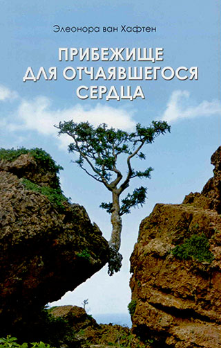 Прибежище для отчаявшегося сердца. Элеонора Ван Хафтен