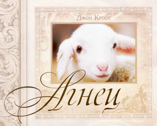 Агнец