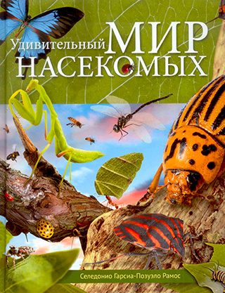 Удивительный мир насекомых. Подарочное издание
