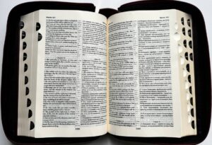 English-Russian Parallel Bible (NASB ) / Англо-Русская Параллельная Библия  Z-Burgundy