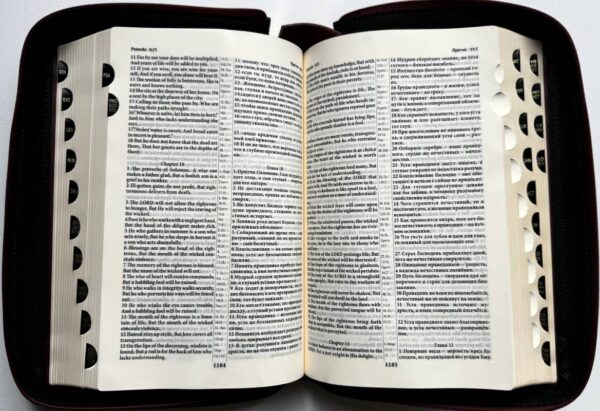 English-Russian Parallel Bible (NASB ) / Англо-Русская Параллельная Библия  Z-Burgundy