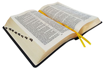 English-Russian Parallel Bible (NASB ) Англо-Русская Параллельная Библия, обложка черного цвета, без замка